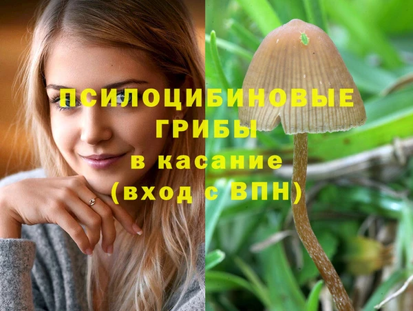 кокс Баксан